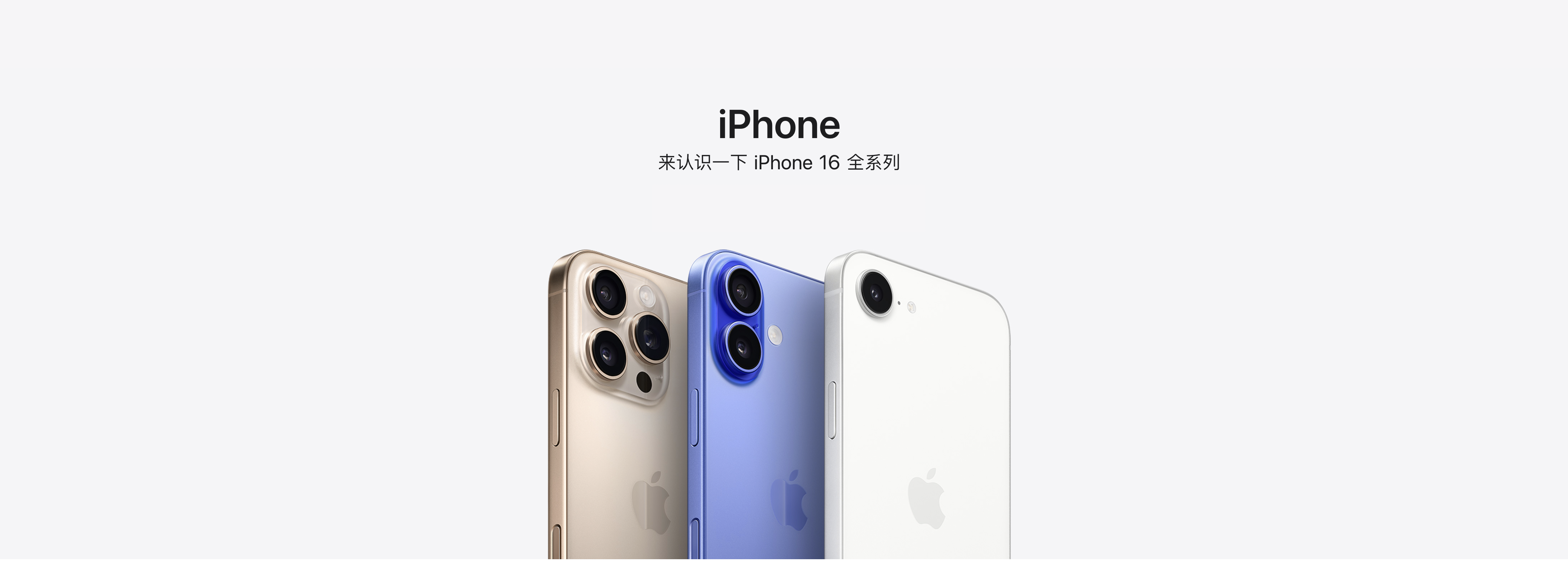 助力七夕